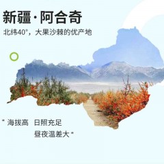 沙棘汁饮料 （果汁含量≥30%）