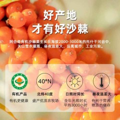 有机沙棘原浆500ml