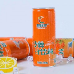 沙棘汁饮料 （果汁含量≥15%）