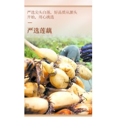蜂香源奇亚籽红枣银耳藕粉